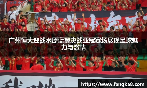 55世纪官网